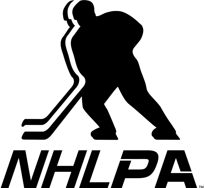 NHLPA 2013-Pres Primary Logo DIY iron on transfer (heat transfer)